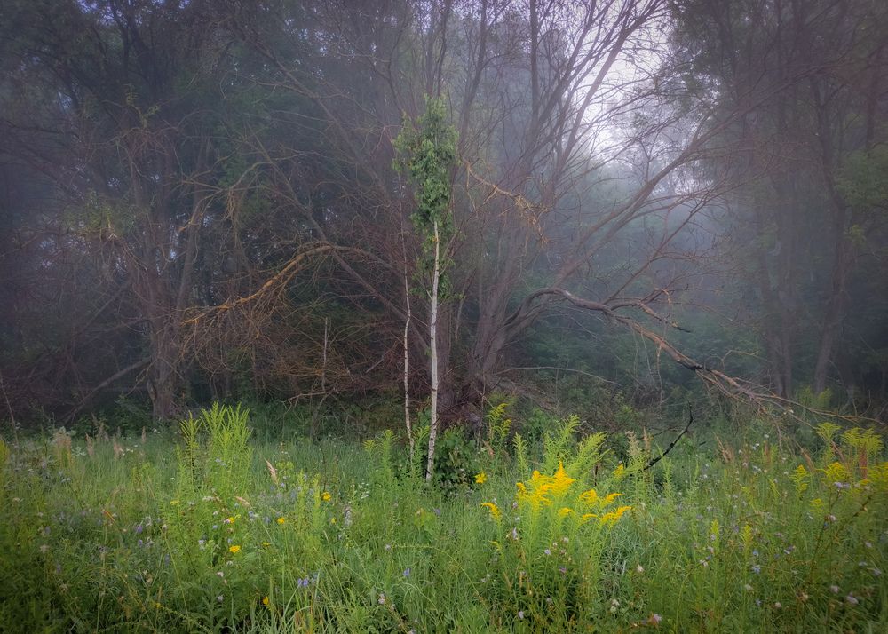 Photo 2886429