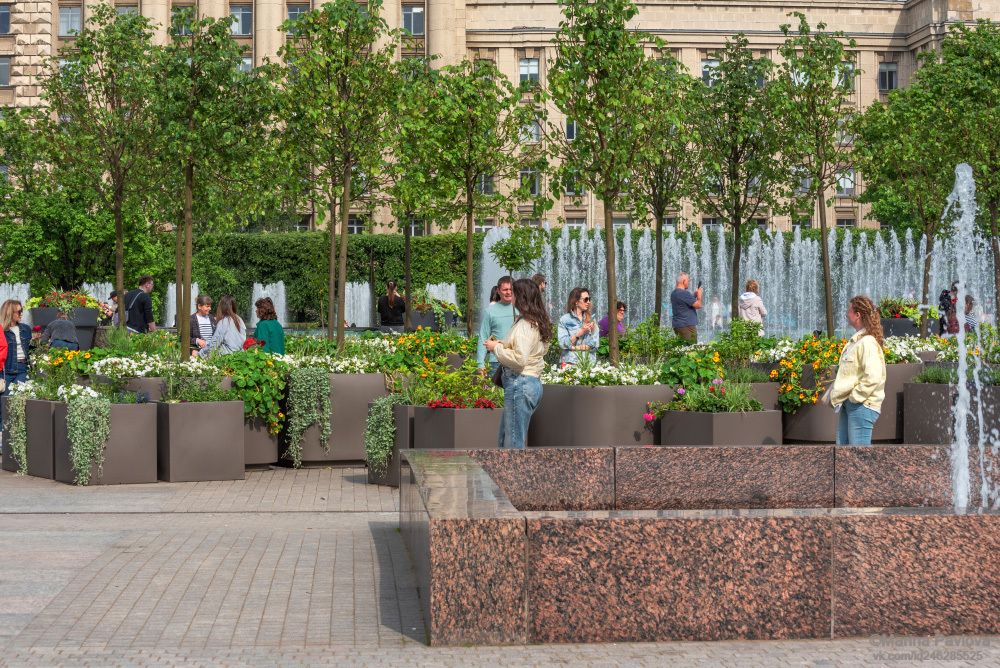 Сад-Трансформер на Московской площади