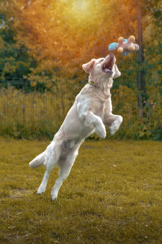 Jump!