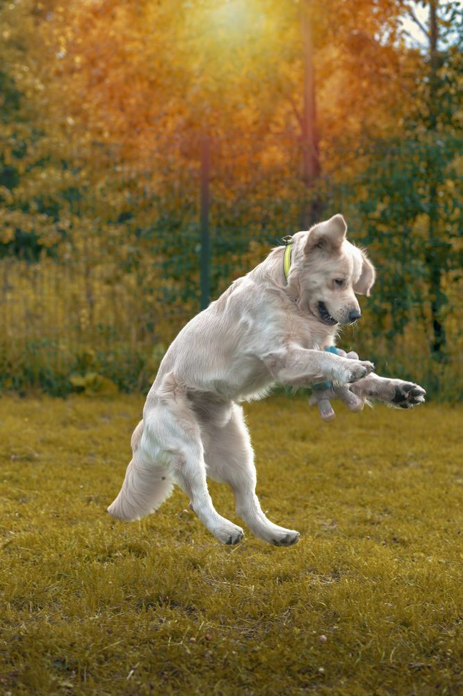 Jump!