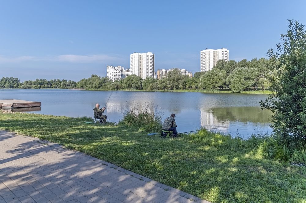 Субботнее утро в городском парке