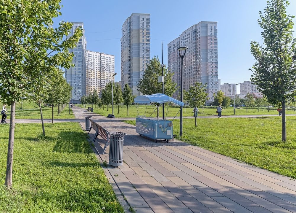 Субботнее утро в городском парке
