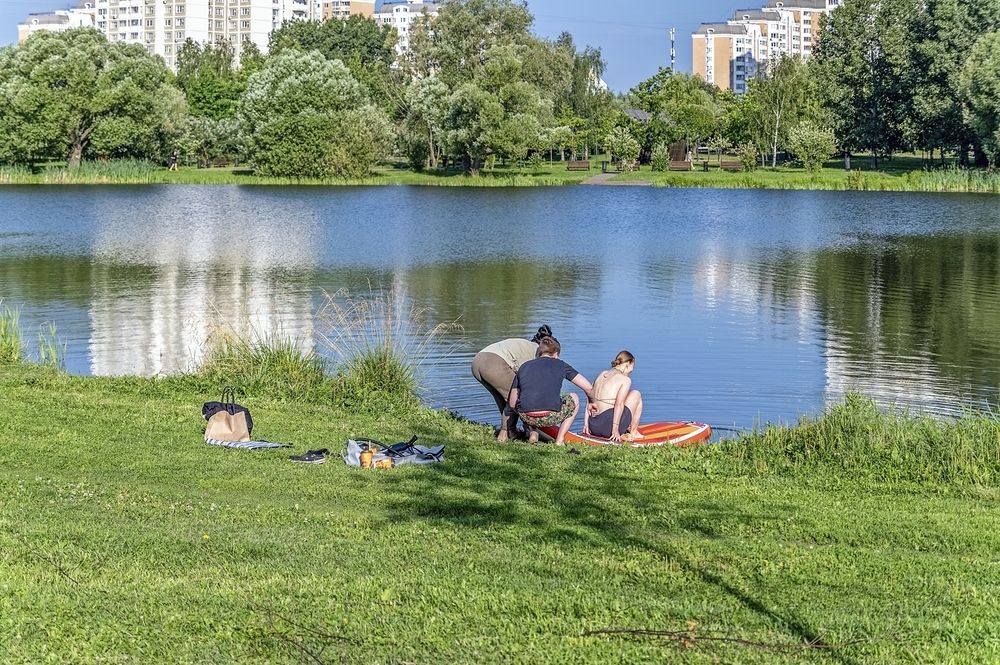 Субботнее утро в городском парке
