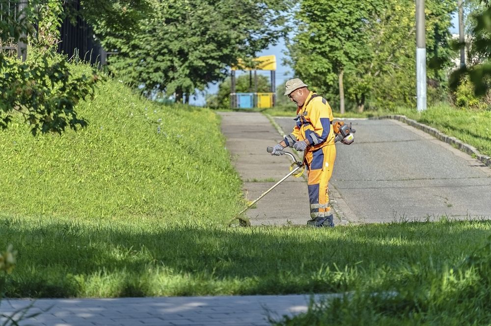 Субботнее утро в городском парке