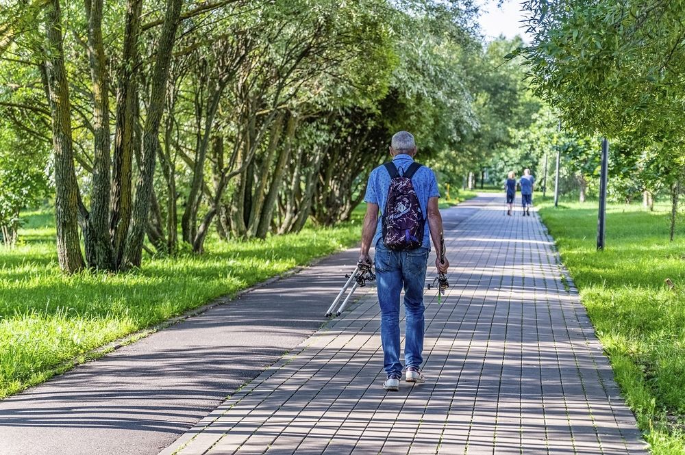 Субботнее утро в городском парке