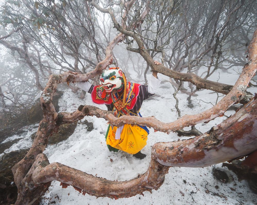 Bhutan masks