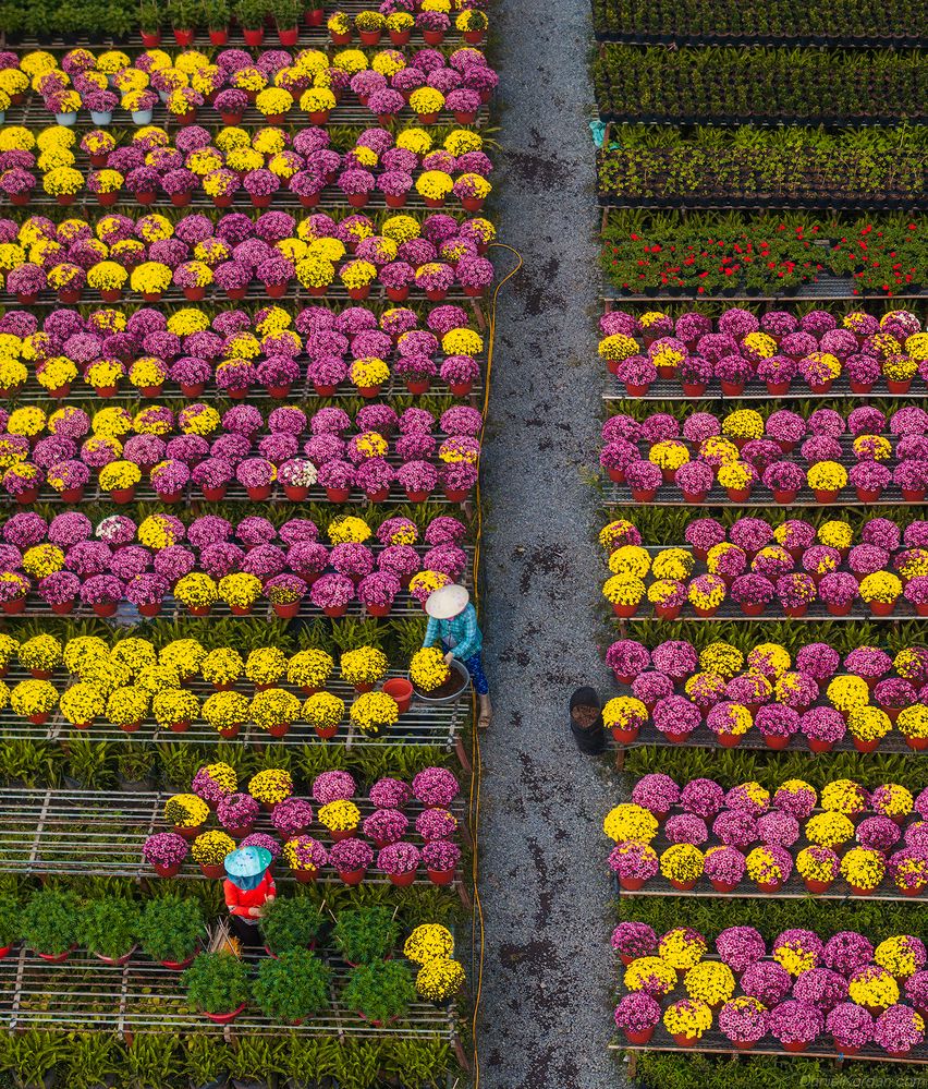 Vietnam
