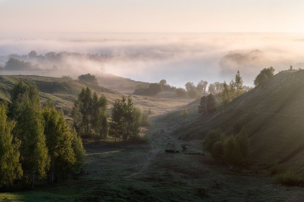 Бастанова гора