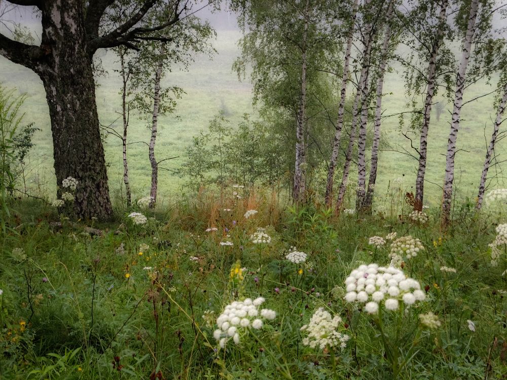 Photo 2889883