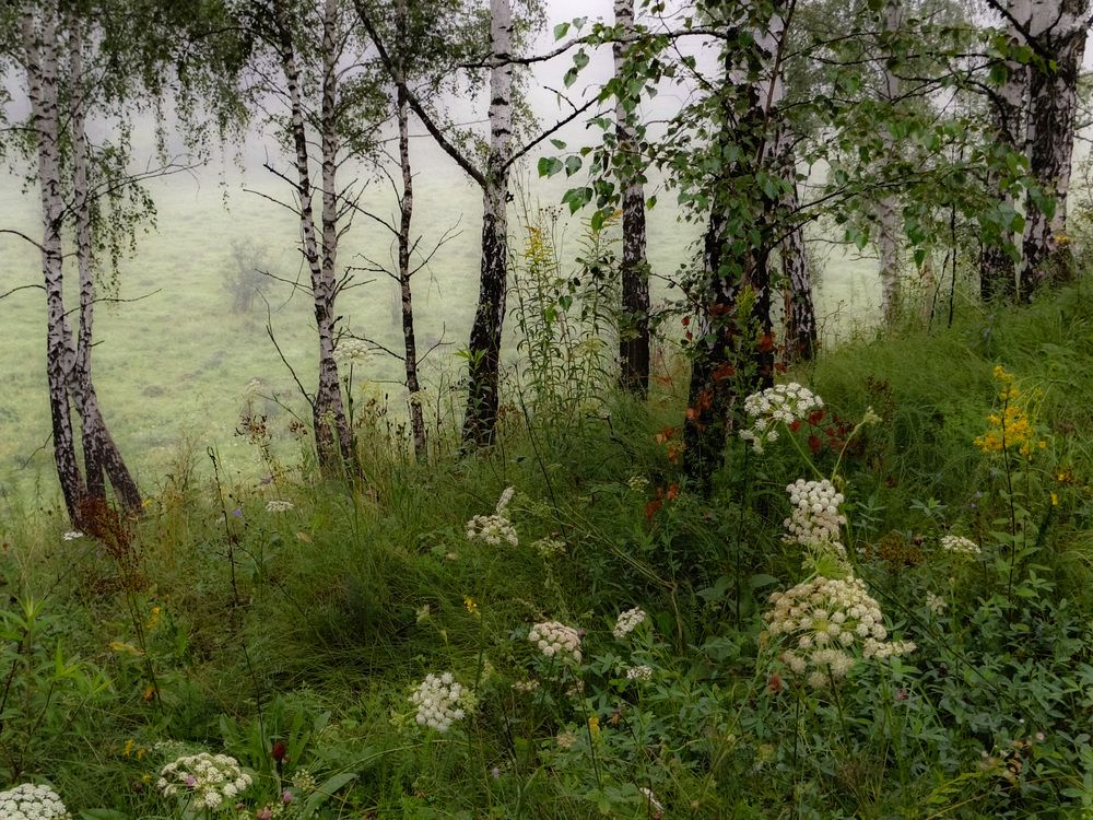 Photo 2889885