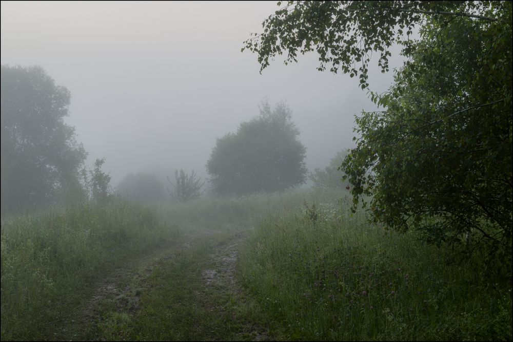 Дорога к речке, светает.
