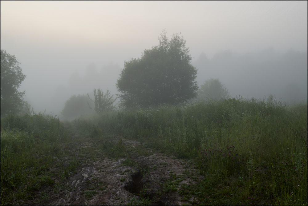 Дорога к речке, рассвет.