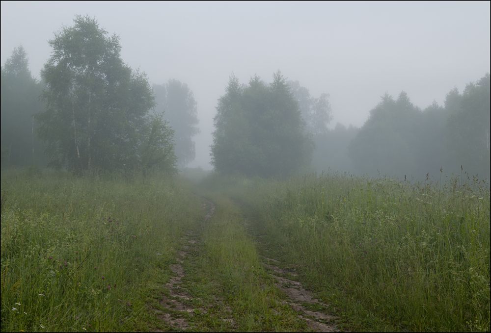 Дорога от речки, рассвет.