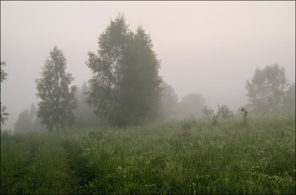 Крутой спуск к реке в тумане