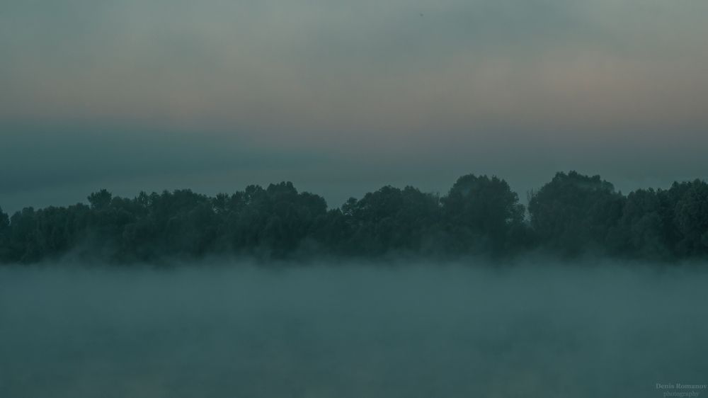 Photo 2891054