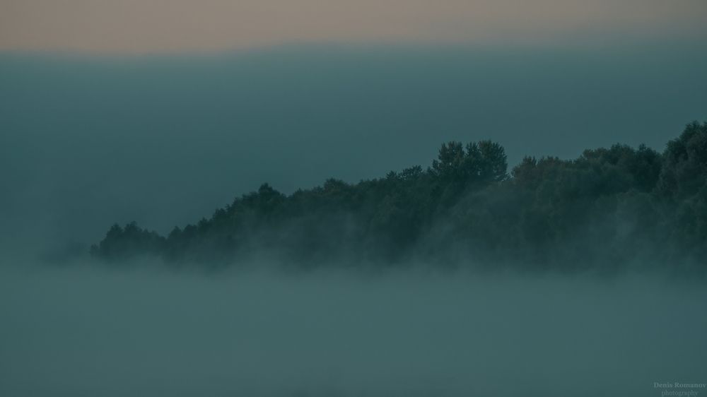 Photo 2891056