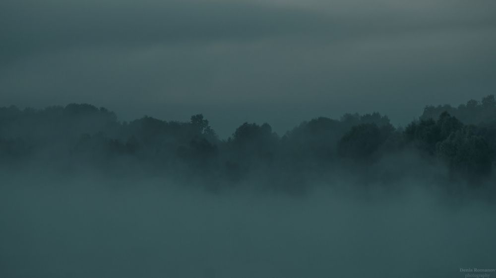 Photo 2891061