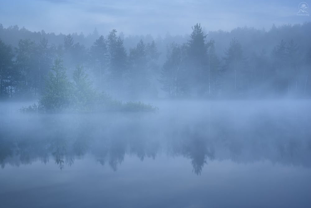Утро на болотах