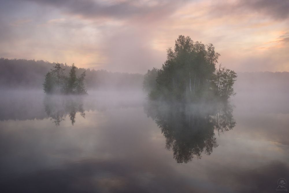 Утро на болотах