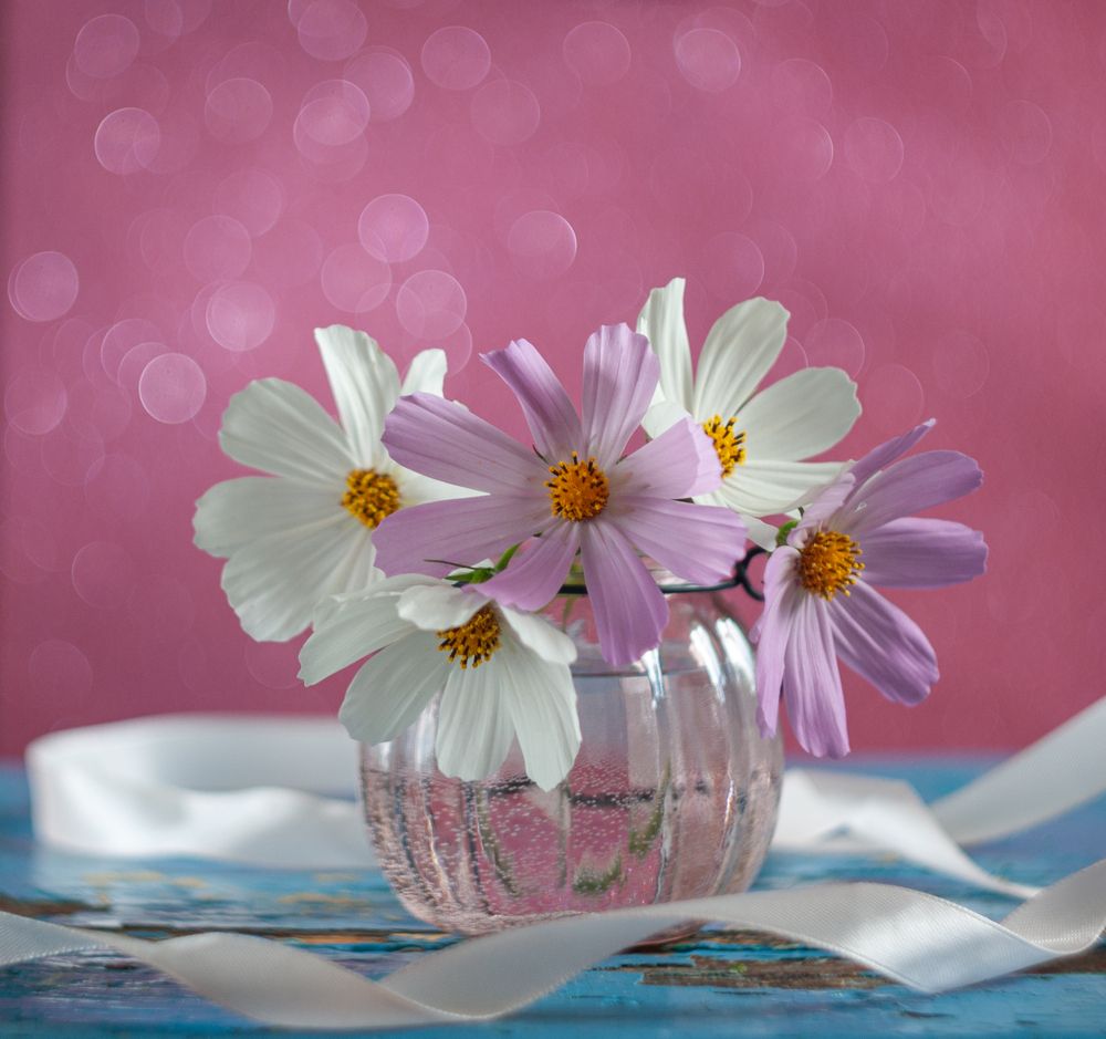 Космеи