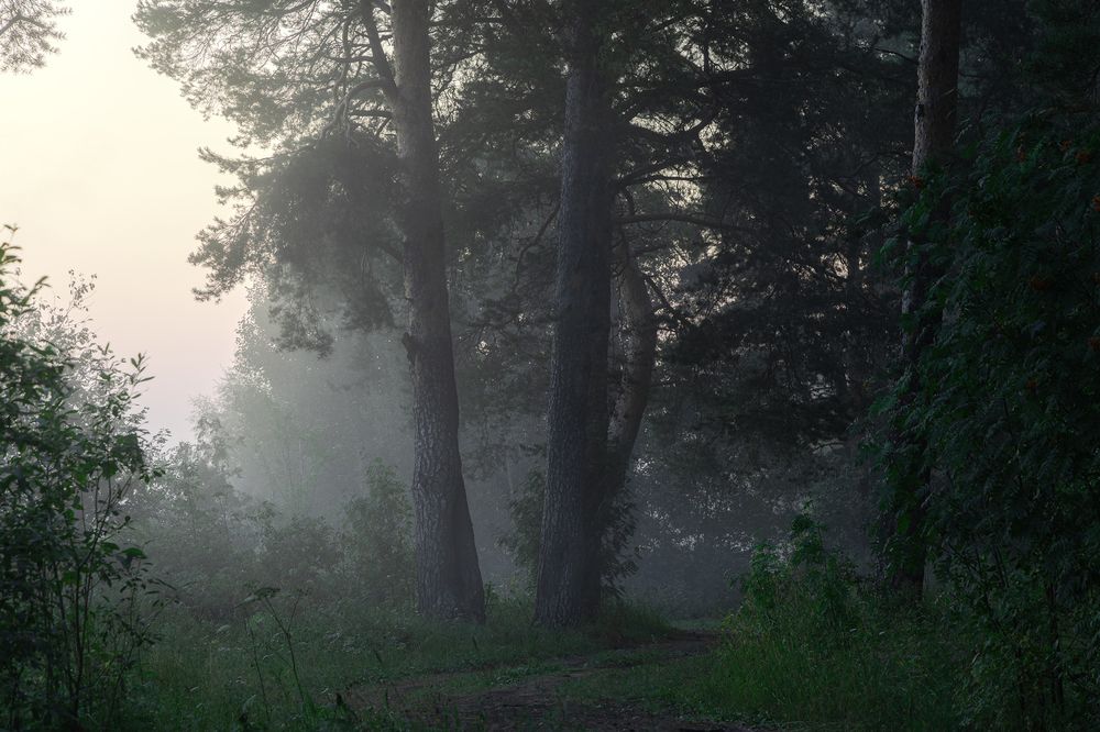 Photo 2893828