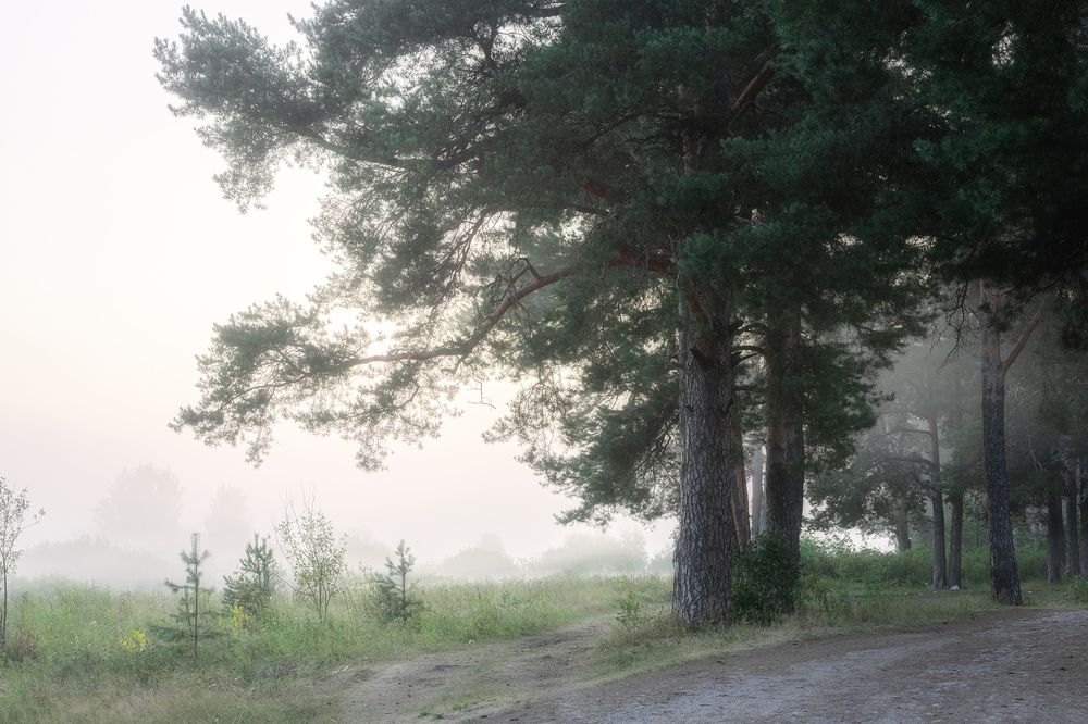 Photo 2893829