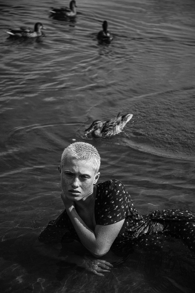 Photo 2894135