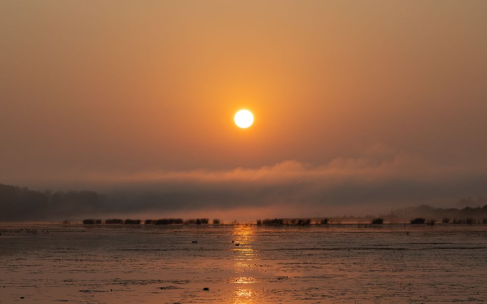 Photo 2894327