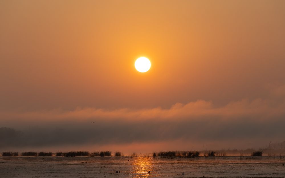 Photo 2894328