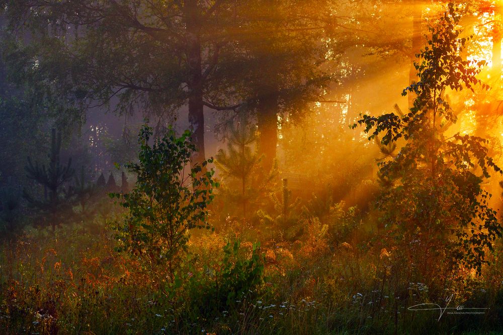 August has arrived in Latgale too 2025