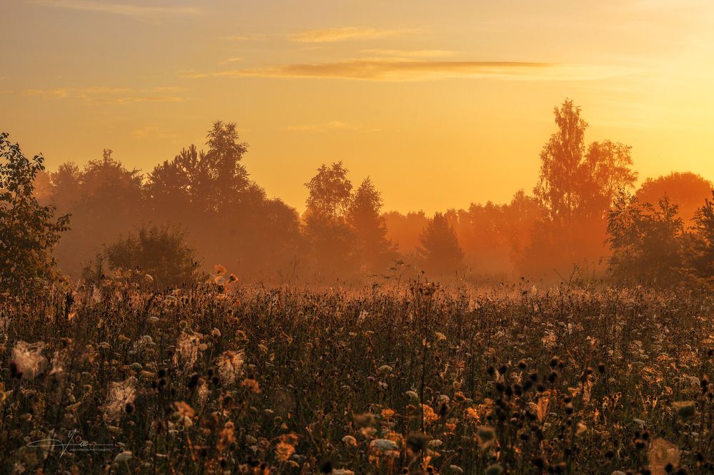 August has arrived in Latgale too 2025