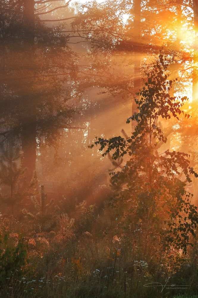 August has arrived in Latgale too 2025