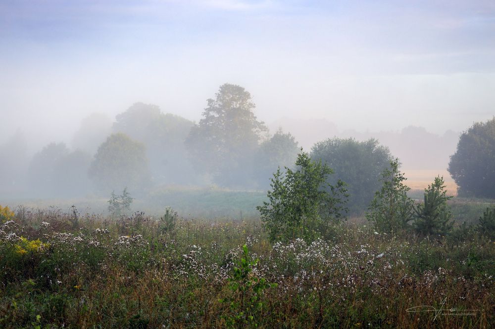August has arrived in Latgale too 2025