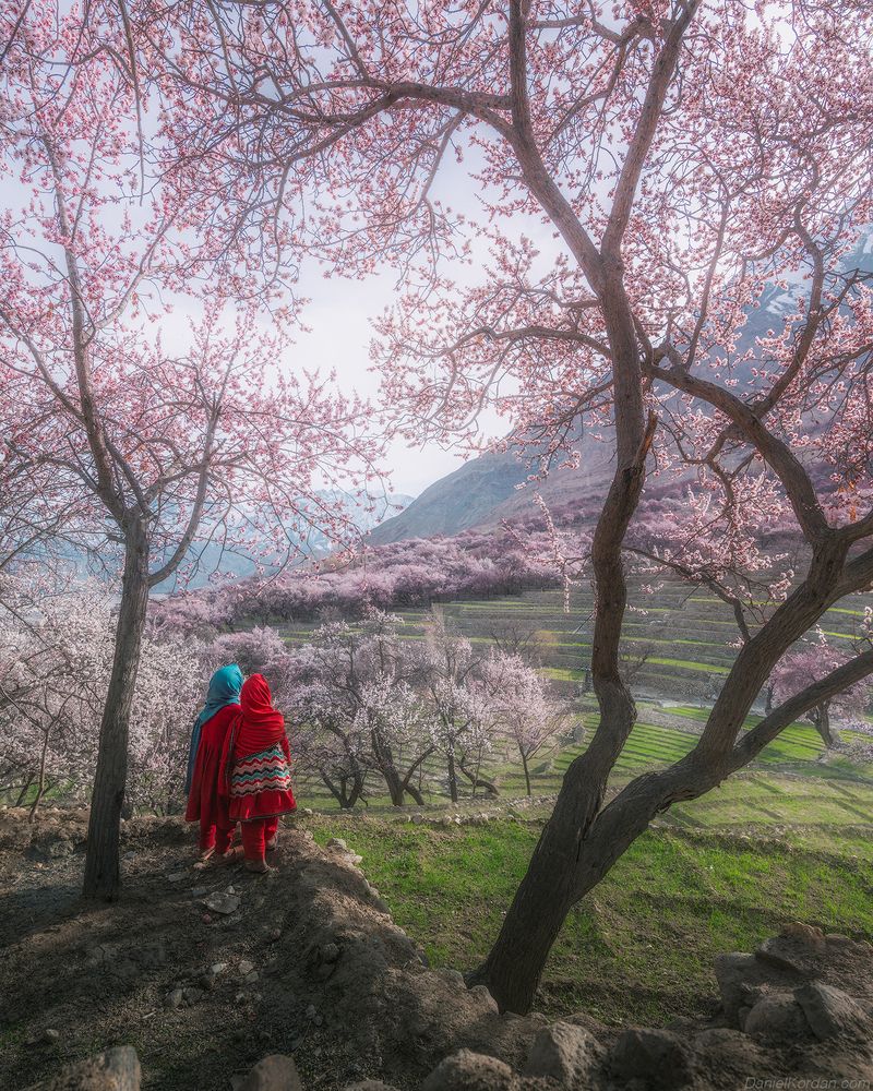 Pakistan