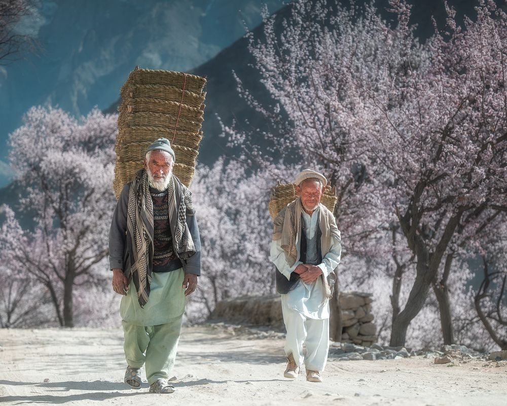 Pakistan