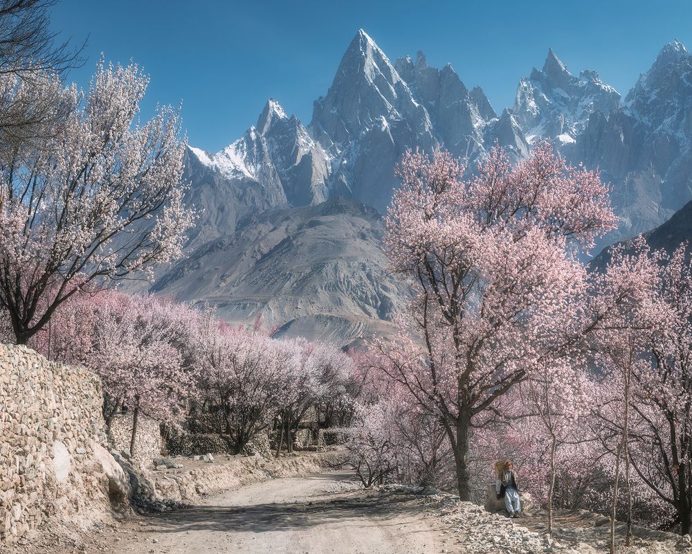 Pakistan