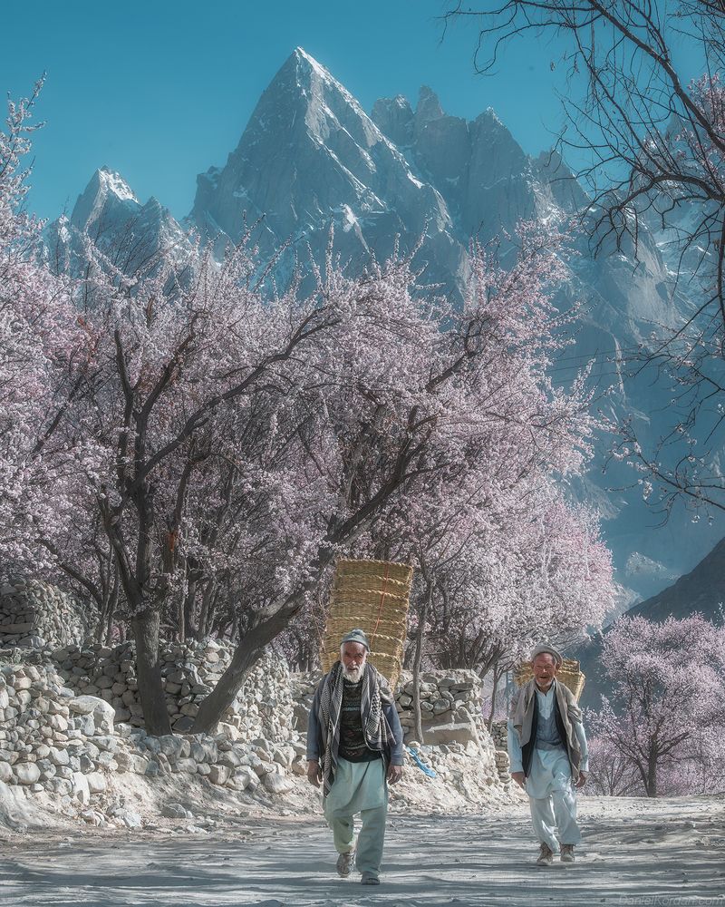 Pakistan