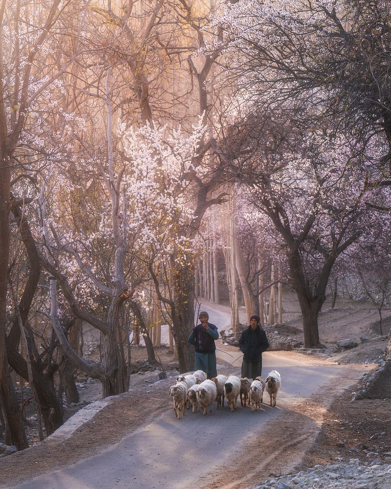 Pakistan streets