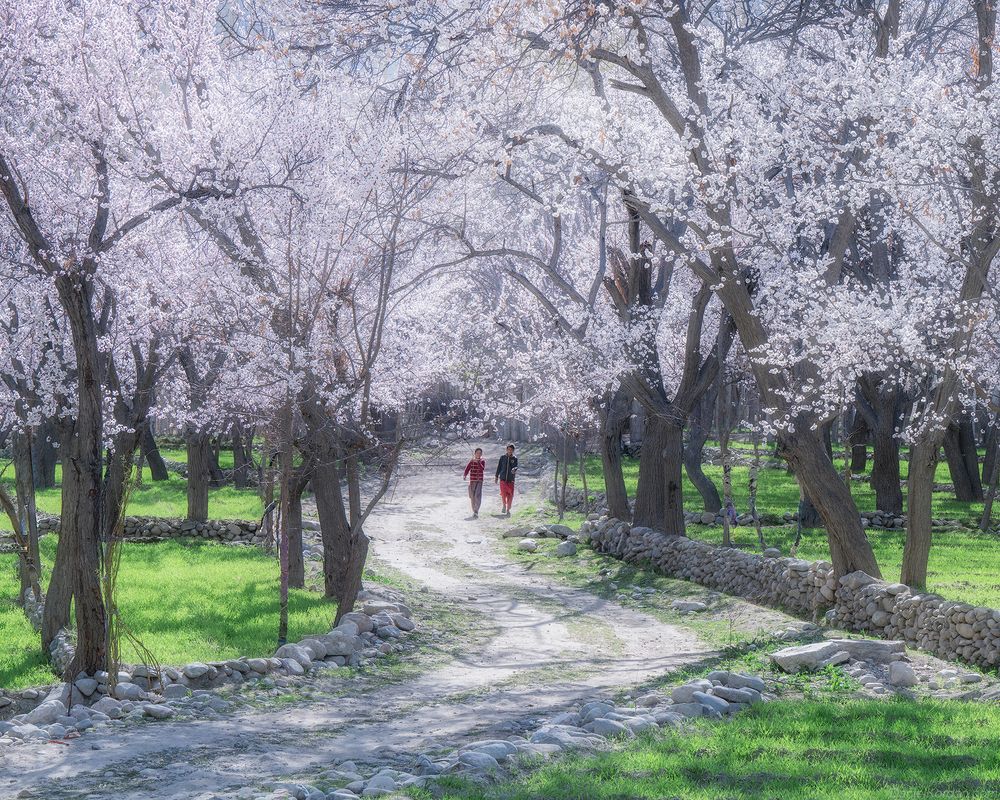 Pakistan streets