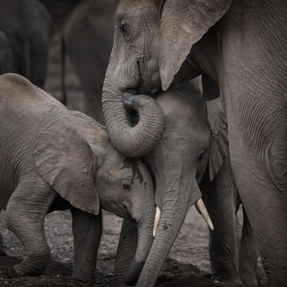 Where Thirst Meets Care