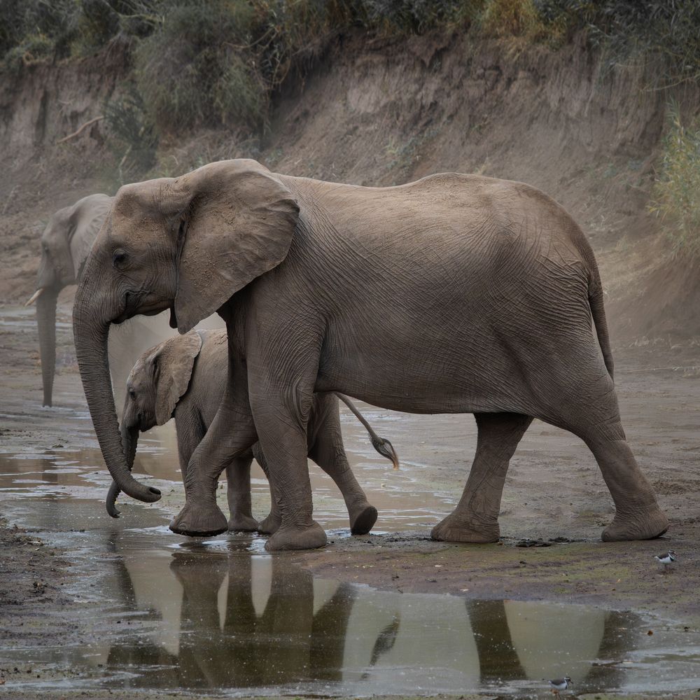 Where Thirst Meets Care