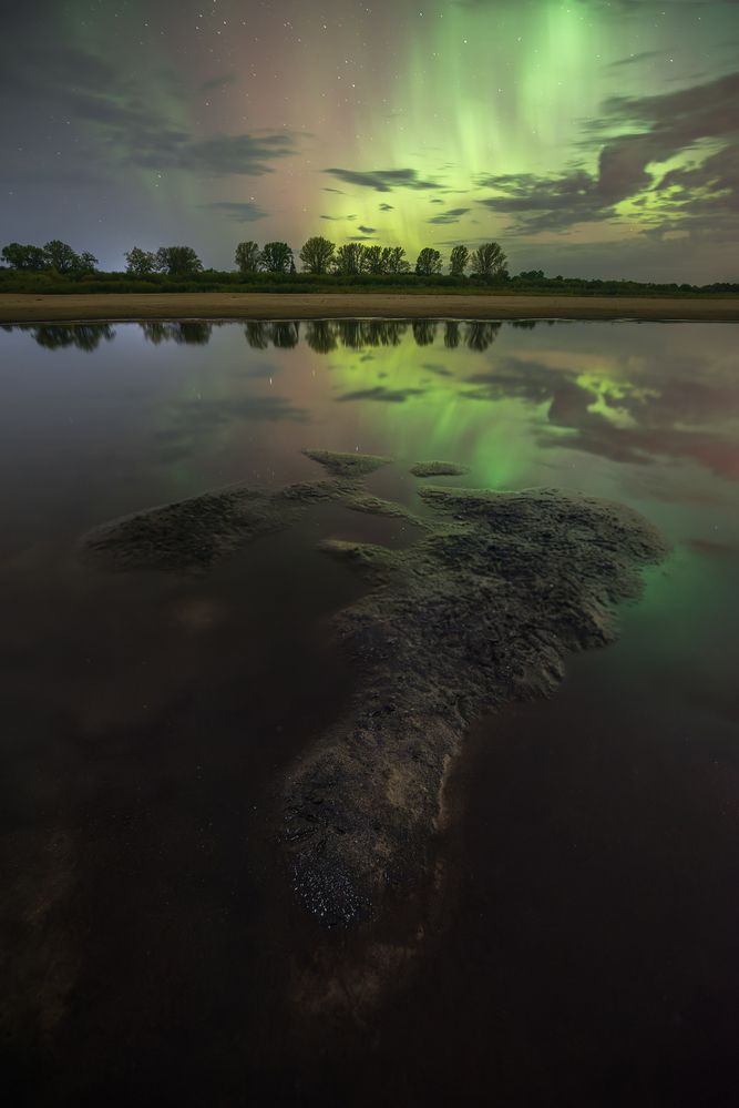 Photo 2897495