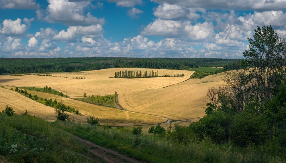 Полевое Белогорье