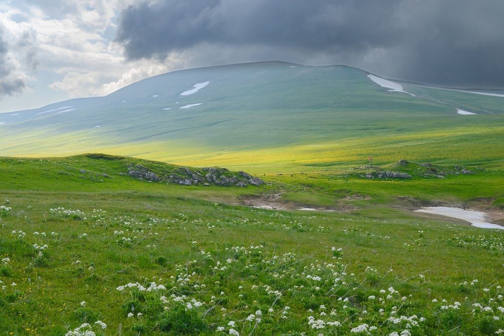 Природа Северного Кавказа