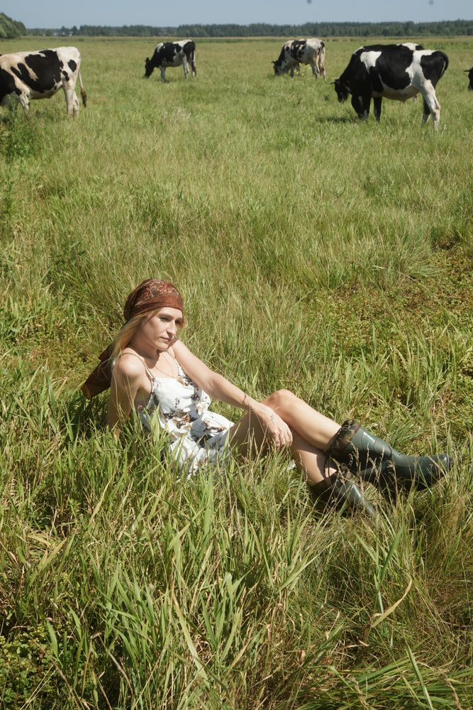 Lazy Summer Afternoon