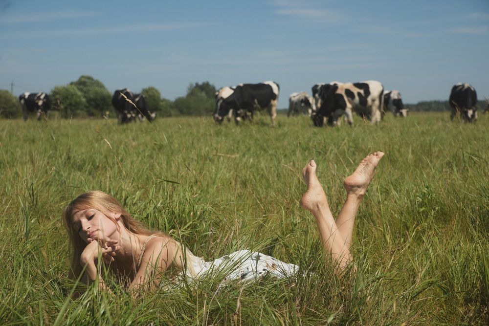 Lazy Summer Afternoon