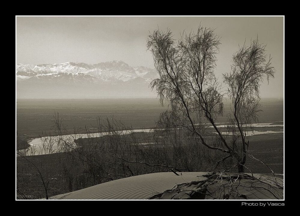 Photo 29339