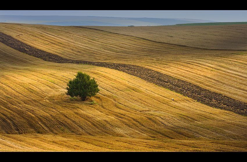 Harvest