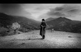 Black and white spring is a tumb ...