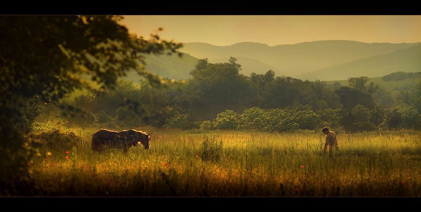 Pastoral